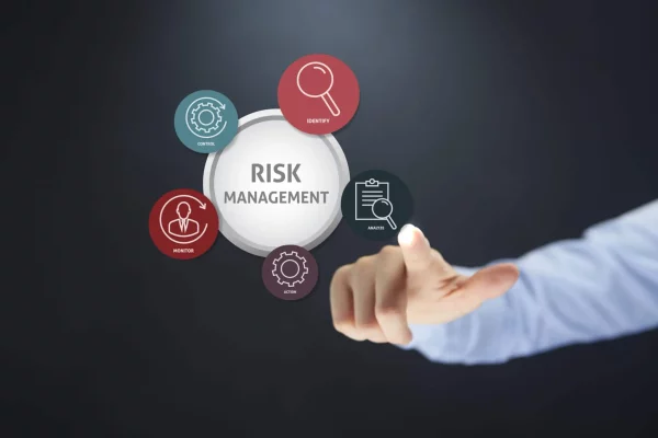 Risk Management Process and Risk Management File